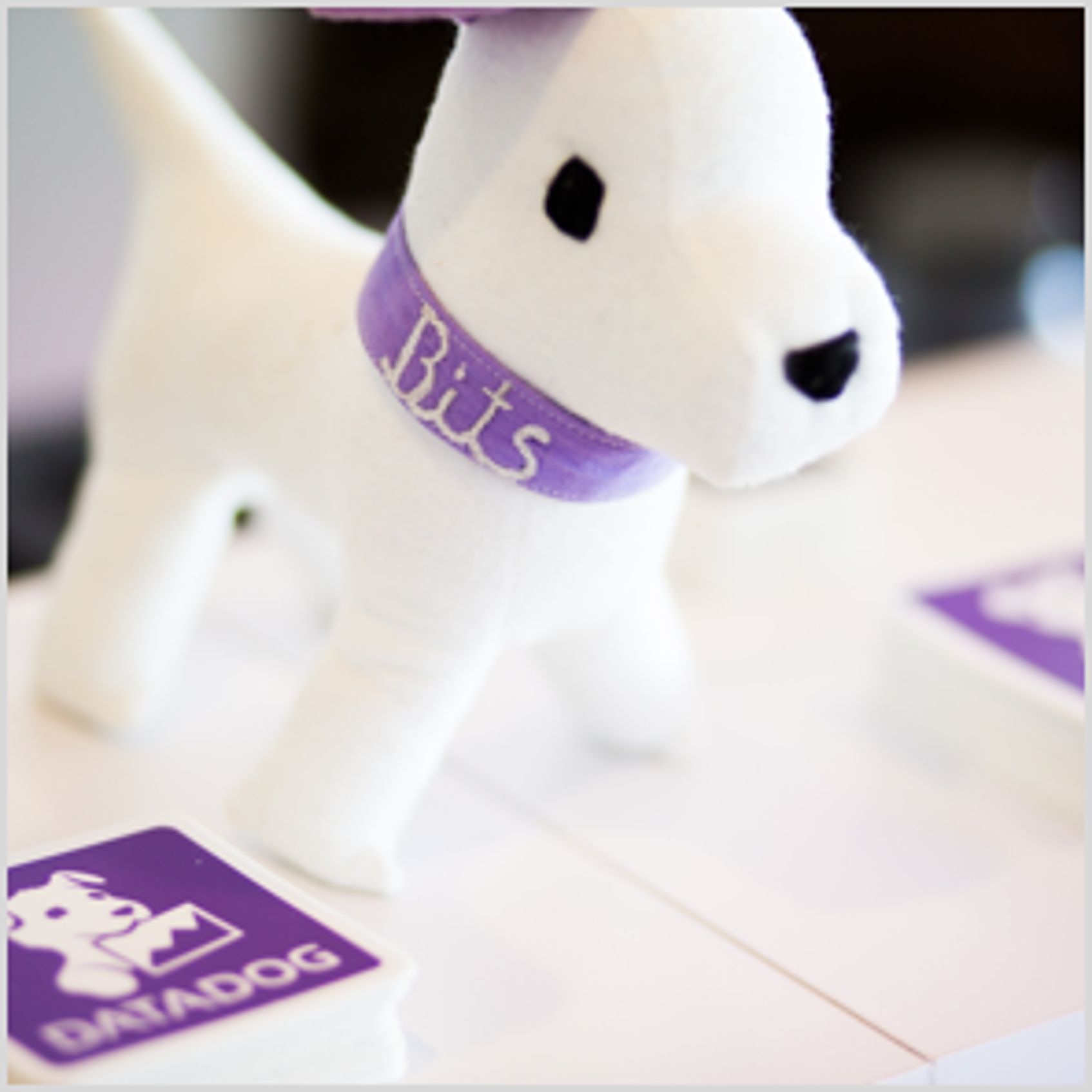 Bits: Datadog mascot