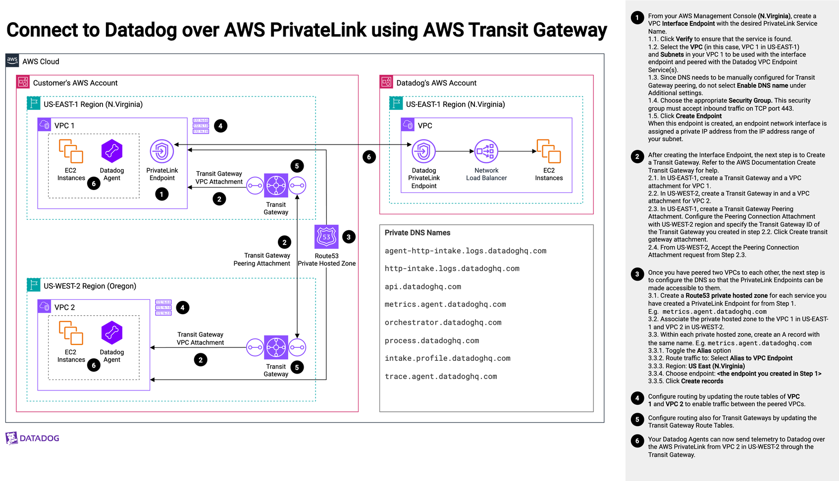 connect to datadog over aws privatelink using aws transit gateway