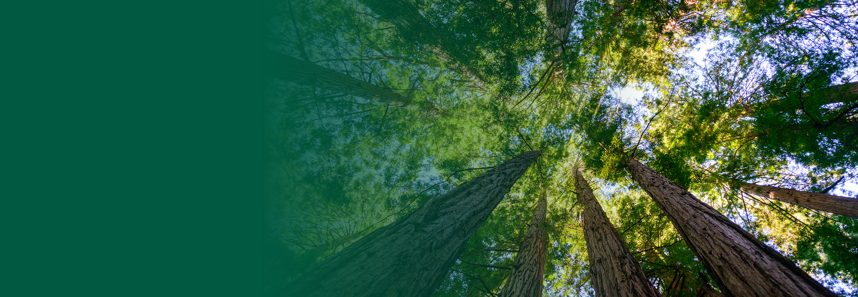 ECCO Select helps drive 60% MTTR reduction for USDA Forest Service using Datadog and AWS