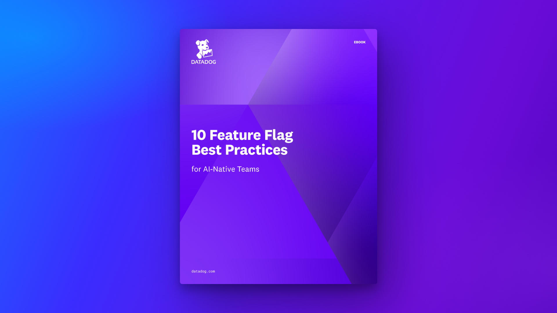 https://corp.dd-static.net/img/gated-asset/brand9745ebook10featureflagbestpracticesforainativeteamshero.png