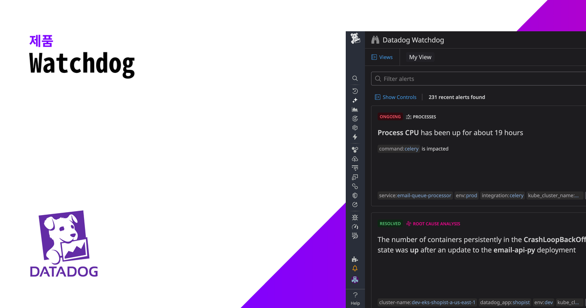 Datadog Cws Watchdog | Datadog