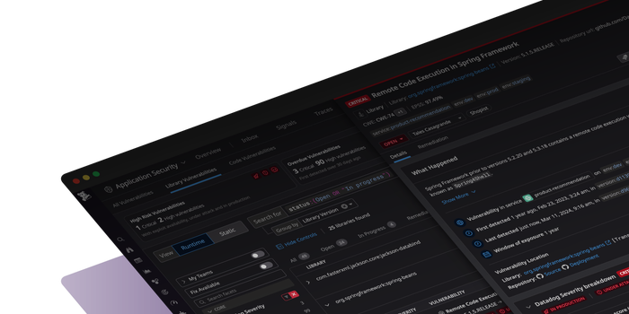 Application Vulnerability Management